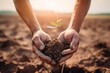 Hands tenderly holding a young plant with soil, with a dry cracked earth backdrop during sunset. Seedling Cradled in Hands Against Drought Background
