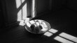 a plate of eggs sitting on a wooden floor in front of a window with a shadow cast on the wall.