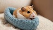 A Hamster Snuggling Up In A Cozy Sock Upscaled 10