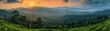 Rubber plantation landscape, rolling hills, sunset hues, panoramic view