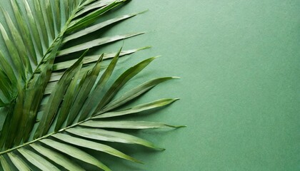 Wall Mural - top view of tropical paper cut palm leaves on green background with copy space