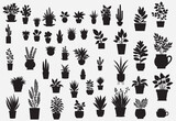 Fototapeta  - Vector illustration. Large set of flower plants in pots. Silhouette big set.