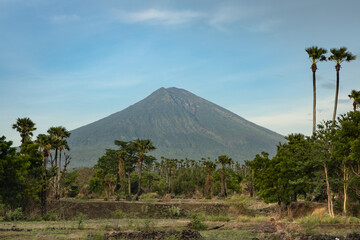 Wall Mural - Rural natural part of Bali island covered in vegetation  and mount Agung volcano view in Karangasem district, Amed early in the morning