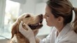 © RichWolf - A female vet is inspecting the teeth of a dog, a loyal companion and carnivore, of a specific breed. The dog seems happy and is sharing a special moment with the veterinarian