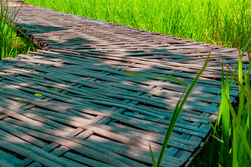 Sticker - Bamboo walkway in rice fields