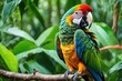 capture the vibrant essence of the rainforest with this stunning close-up of a brilliantly colored parrot perched on a branch, its intricate feathers sharply focused against lush tropical foliage.