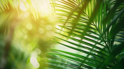 Poster - Coconut tree leaves blur in spring for nature background : Generative AI
