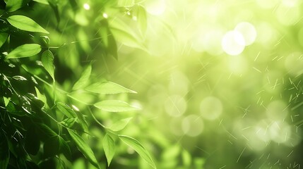 Fototapete - Sunny abstract green nature background selective focus : Generative AI