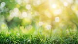 Fototapeta Natura - natural grass field background with blurred bokeh and sun rays : Generative AI