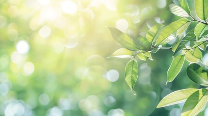 Poster - Concept nature view of green leaf on blurred greenery background in garden and sunlight with copy space using as background natural green plants landscape ecology fresh wallpaper : Generative AI