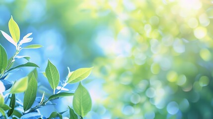 Summer background of blue and green blurred foilage and sky with bright bokeh Blurry abstract summer background Natural green leaves using as cover page greenery environment ecology ba : Generative AI