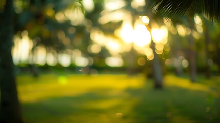 Aufkleber - Blur nature bokeh green park by beach and tropical coconut trees in sunset time : Generative AI