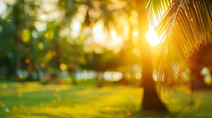 Aufkleber - Blur nature bokeh green park by beach and tropical coconut trees in sunset time : Generative AI