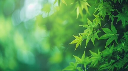 Aufkleber - Blurred greenery leaves of tree forest : Generative AI