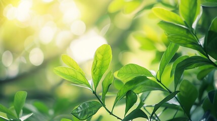 Poster - Closeup macro soft focus fresh green leaves abstract blur backgroundconcept idea for ecology backdropdesktop wallpaperwebsite cover design : Generative AI
