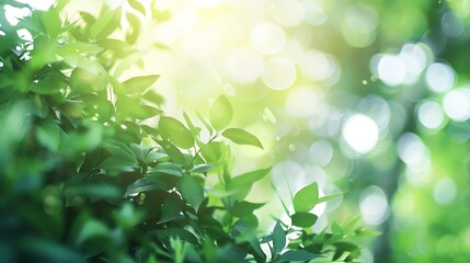 Poster - Green natural bokeh nature background : Generative AI