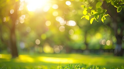 Aufkleber - Blur nature green park with bokeh sun light abstract background Copy space of travel nature adventure and environment ecology concept Vintage tone filter effect color style : Generative AI