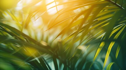 Poster - Coconut tree leaves blur in spring for nature background : Generative AI