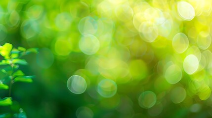 Poster - abstract blur green color for backgroundblurred and defocused effect spring concept for designnature view of blurred greenery background in garden using as background naturalfresh wall : Generative AI