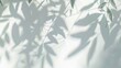 © Generative AI - Abstract blurred background The shadow reflection of leaves and gray light lines on the white surface concrete wall for wallpaper backdrop and design : Generative AI