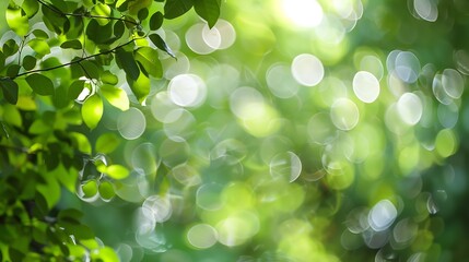 Aufkleber - Green bokeh out of focus background from nature forest : Generative AI