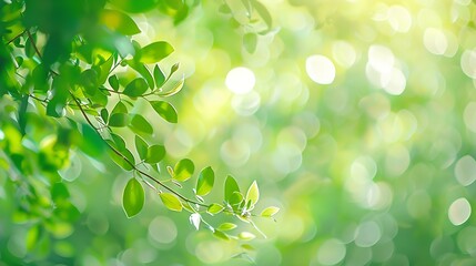 Aufkleber - Green natural bokeh nature background : Generative AI