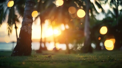 Aufkleber - Blur nature bokeh green park by beach and tropical coconut trees in sunset time : Generative AI
