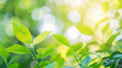 Leinwandbilder - Concept nature view of green leaf on blurred greenery background in garden and sunlight with copy space using as background natural green plants landscape ecology fresh wallpaper : Generative AI