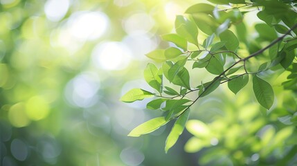 Aufkleber - Blurred of green natural tree in park background : Generative AI