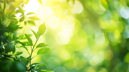 Aufkleber - Blurred nature abstract bokeh backgroundSummer holiday concept : Generative AI