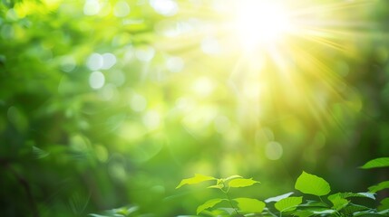Leinwandbilder - Natural green bright blur background of sunny summer forest : Generative AI