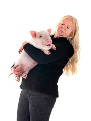 Canvas Print - miniature pig and woman in studio