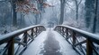 Lonely bridge blanketed in snow stretches into frosty silence of the forest