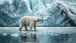 Polar bear in front of ice wall Arctic natural habitat