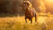 Majestic Horse Running Through Tall Grass