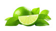 slice of lime and a sprig of mint isolated on a white background