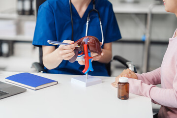 Caucasian liver professional female doctor explain to asian female patient using human liver model at desk in medical room, Liver cancer and Tumor, Jaundice, Viral Hepatitis A, B, C, D, E, cirrhosis