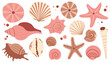 © Anastasia - Sea shells set, mollusks, starfish,  flat illustration of seashells collection isolated on white for stickers