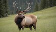 An Elk With Its Antlers Covered In Velvet A Sign Upscaled 6