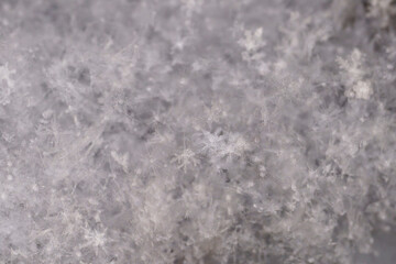 close-up macrophotography of crystals of geometric patterns of snowflakes