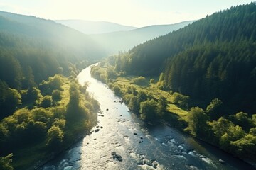 Poster - A serene river flowing through a vibrant green forest, suitable for nature and travel concepts