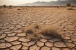land is cracked due to drought with plants drying out due to water scarcity. Climate change and lack of rain.
