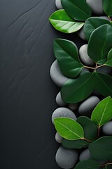 Poster - A group of rocks and green leaves on a black surface. Perfect for nature or zen concepts