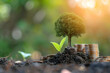 © shobakhul - tree growing of accumulating wealth coin money