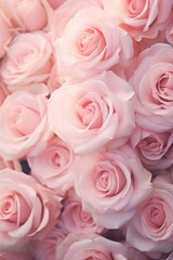 Poster - A bunch of pink roses in a vase, suitable for various occasions