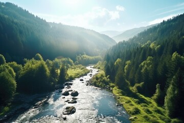 Poster - A scenic view of a river running through a lush green forest. Ideal for nature and landscape concepts