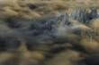 Frosty forest on a hill covered in morning mist. 3D Rendering