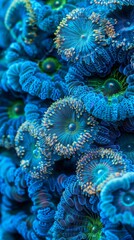Wall Mural - Vibrant blue coral close-up