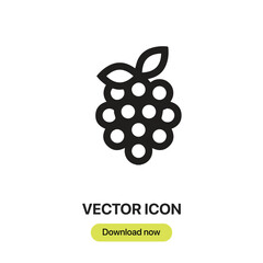 Fototapete - Raspberry icon vector. Linear-style sign for mobile concept and web design. Raspberry symbol illustration. Pixel vector graphics - Vector.	
