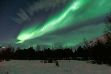 aurora